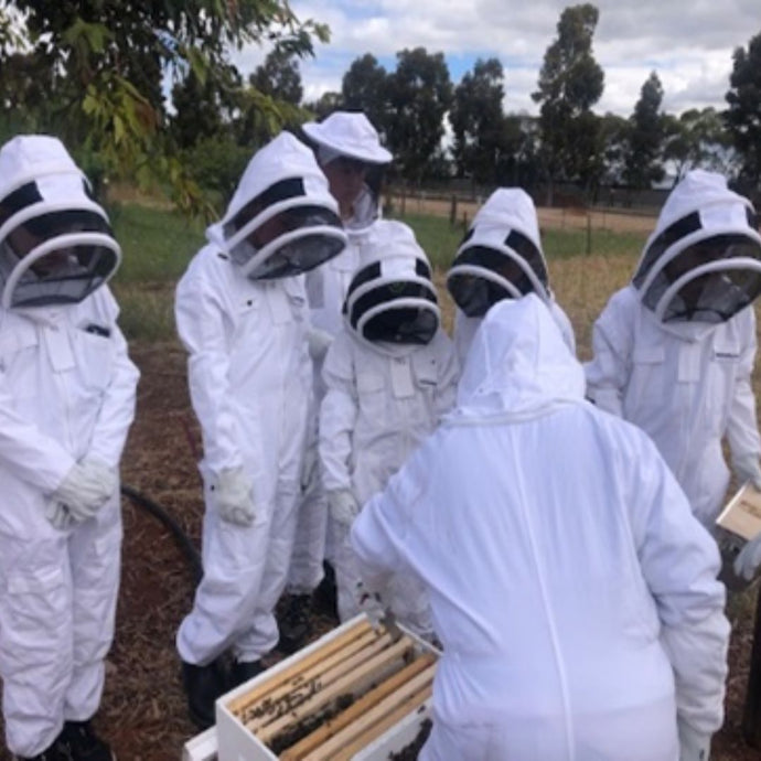 Bee Experience Workshop (9am-9:50am)